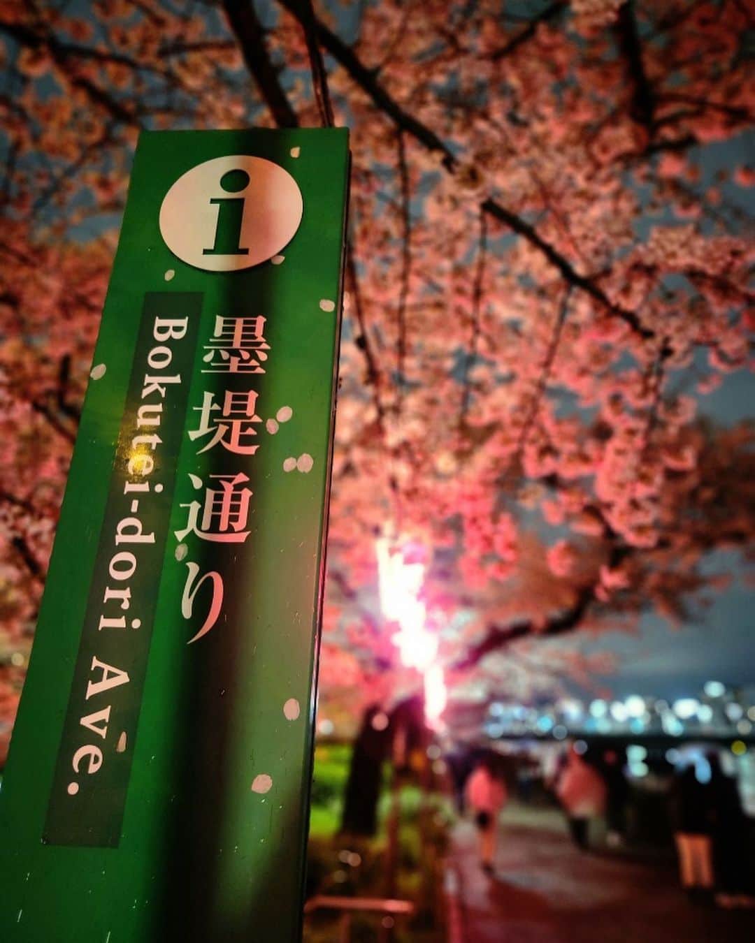 墨田区さんのインスタグラム写真 - (墨田区Instagram)「「夜桜～墨堤さくらまつり～」  隅田川沿いの墨堤通りではさくらまつりが開催されています🌸 去年は真っ暗だった桜並木ですが、今年はぼんぼりに灯りがともり、 夜桜をより一層美しく彩っていました🌃  開催期間 3/18(土)～4/9(日) ライトアップ18:30～21:00  １～４枚目　撮影者:　#すみだカメラ部１０選　@shikami_kobayashi ５～６枚目　撮影謝：　すみだかカメラ部１０選　@tetsushin634 #墨田区 #すみだ #sumida #東京 #tokyo #わたしのすみだ自慢 #これもすみだのシティプロモーション #墨堤 #さくらまつり #満開 #ソメイヨシノ #tokyoskytree #skytree #屋台 #夜桜 #隅田川 #屋形船 #花見 #帰りに一杯 #提灯 #lovenight__ #addicted_to_nights #japan_night_view #super_night_chanel #ig_nightshots #1x_japan」3月30日 16時00分 - sumida_official