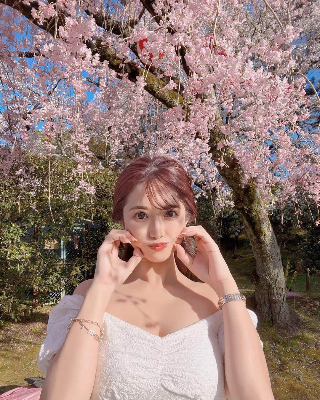 立花セリさんのインスタグラム写真 - (立花セリInstagram)「サクラサク。🌸🌸🌸🍡🍡🍡(🌸❛ ֊ ❛„)•*¨*•.¸♬︎   #名古屋城#お花見#桜」3月30日 15時11分 - celine_dion.jp