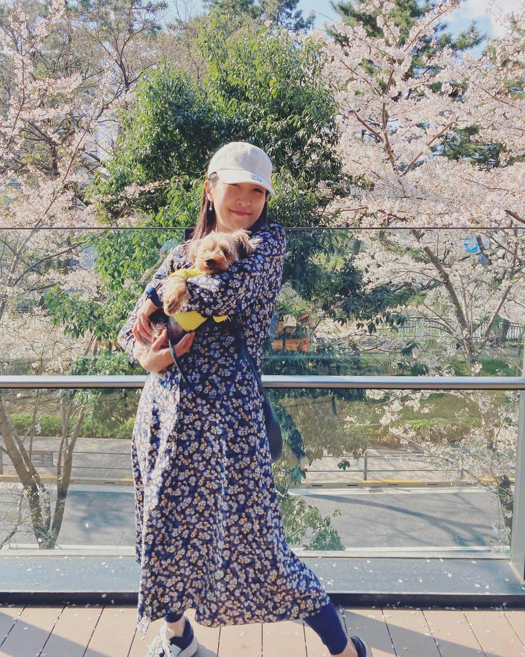 川江美奈子さんのインスタグラム写真 - (川江美奈子Instagram)「・ 風を聴く犬と人間  大きな手術を頑張ったフランクと 桜の中を散歩できた 嬉しい！ 幸せが目に見えるみたいな午後  #桜 #2023」3月30日 15時21分 - minakokawae