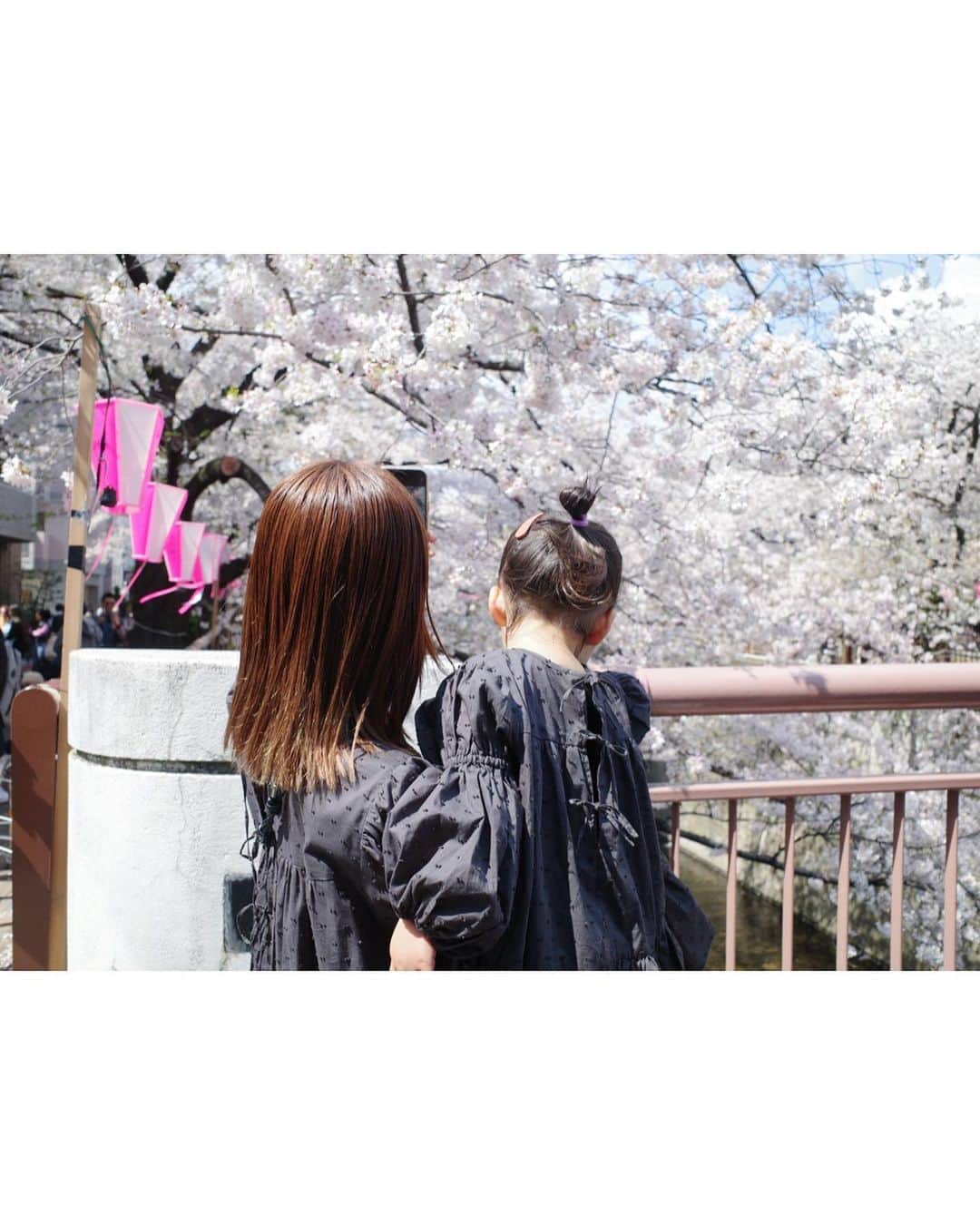 高山直子さんのインスタグラム写真 - (高山直子Instagram)「SAKURA2023🌸  #familytime」3月30日 15時14分 - nao_70koro