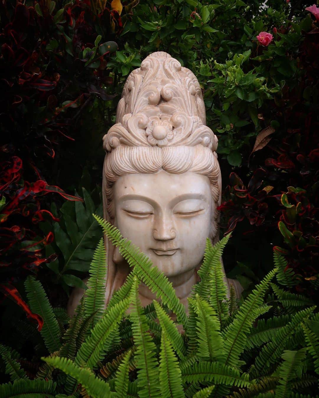 のインスタグラム：「🤍🧘‍♀️🤍」