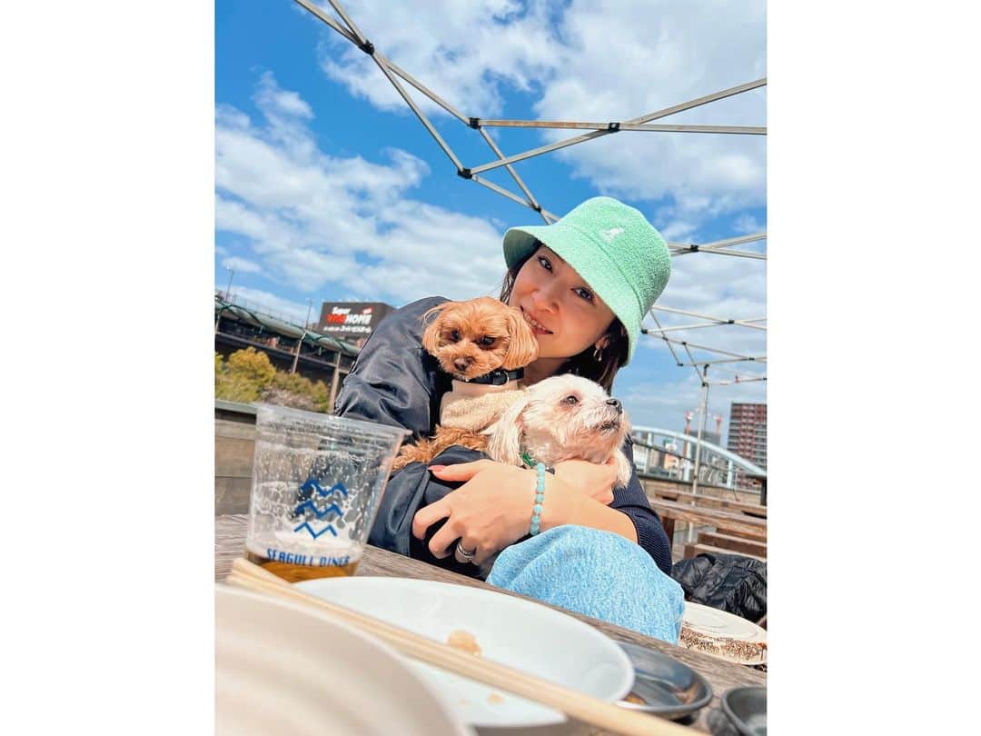 七菜香さんのインスタグラム写真 - (七菜香Instagram)「𝐃𝐚𝐲 𝐝𝐫𝐢𝐧𝐤𝐢𝐧𝐠🌸🌸 さいこうだった日♪ (※私の投稿はオンタイムではありません)  楽しかった大人時間🍻🍋 この大きいレモンサワーめちゃくちゃお得で グビグビ飲むせやたんも1つで めちゃくちゃ満足していた🤫🫣ww  #goodday #dayoff #daydrinking #awesome #loveuguys #osaka #タグボート大正 #お花見 #昼飲み最高 #いつかのお休み #いぬのいる暮らし #マルチーズ」3月30日 15時16分 - nanaka0118