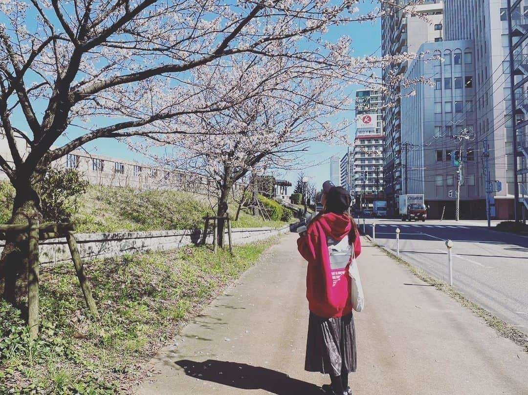 大西遥香さんのインスタグラム写真 - (大西遥香Instagram)「. あさんぽ🌸  #新潟 #やすらぎ堤 #さくら #パーカー #sanrise #niigata #sakura #cherryblossom」3月30日 15時20分 - hrka_onsh