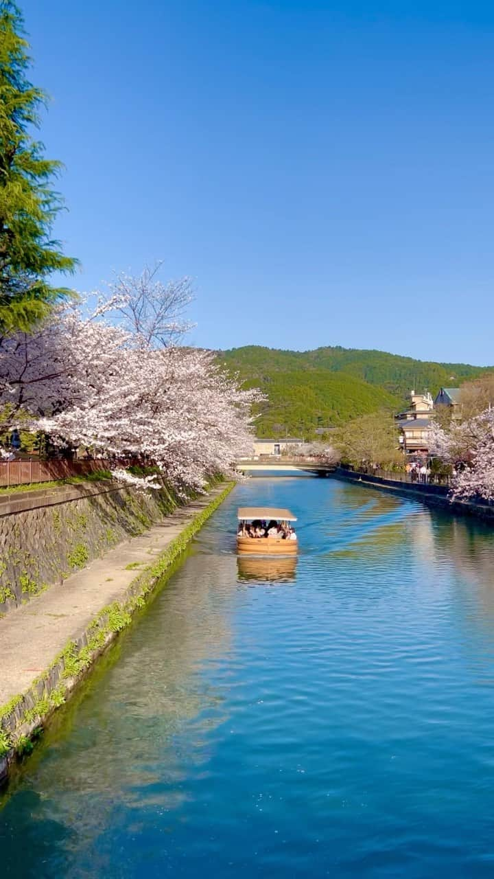 梅谷安里のインスタグラム：「🌸🌸🌸 岡崎さくら回廊十石舟めぐり🌸 桜に囲まれながら疏水をお舟で🚢 気持ちよかったな〜💗 📍当日券は完売してる事もあるので 事前のネット予約がおすすめです！！！😎 #Kyoto#京都 #岡崎さくら回廊十石舟めぐり  #🚢#琵琶湖疏水」