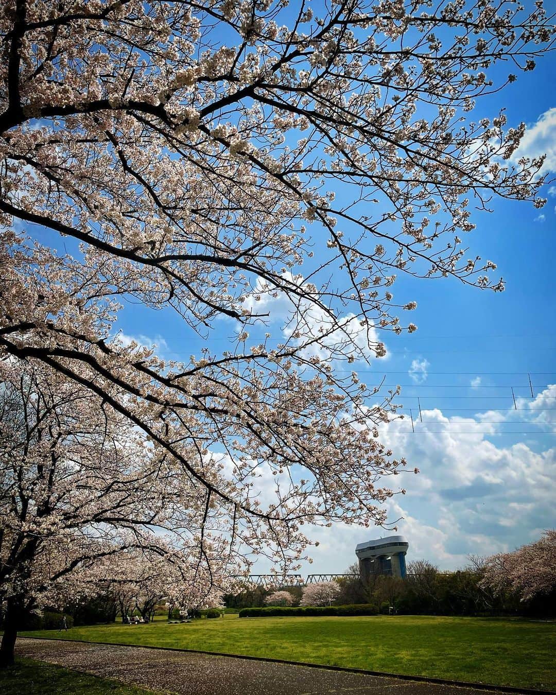 今野浩喜さんのインスタグラム写真 - (今野浩喜Instagram)3月30日 15時24分 - comnohiroki