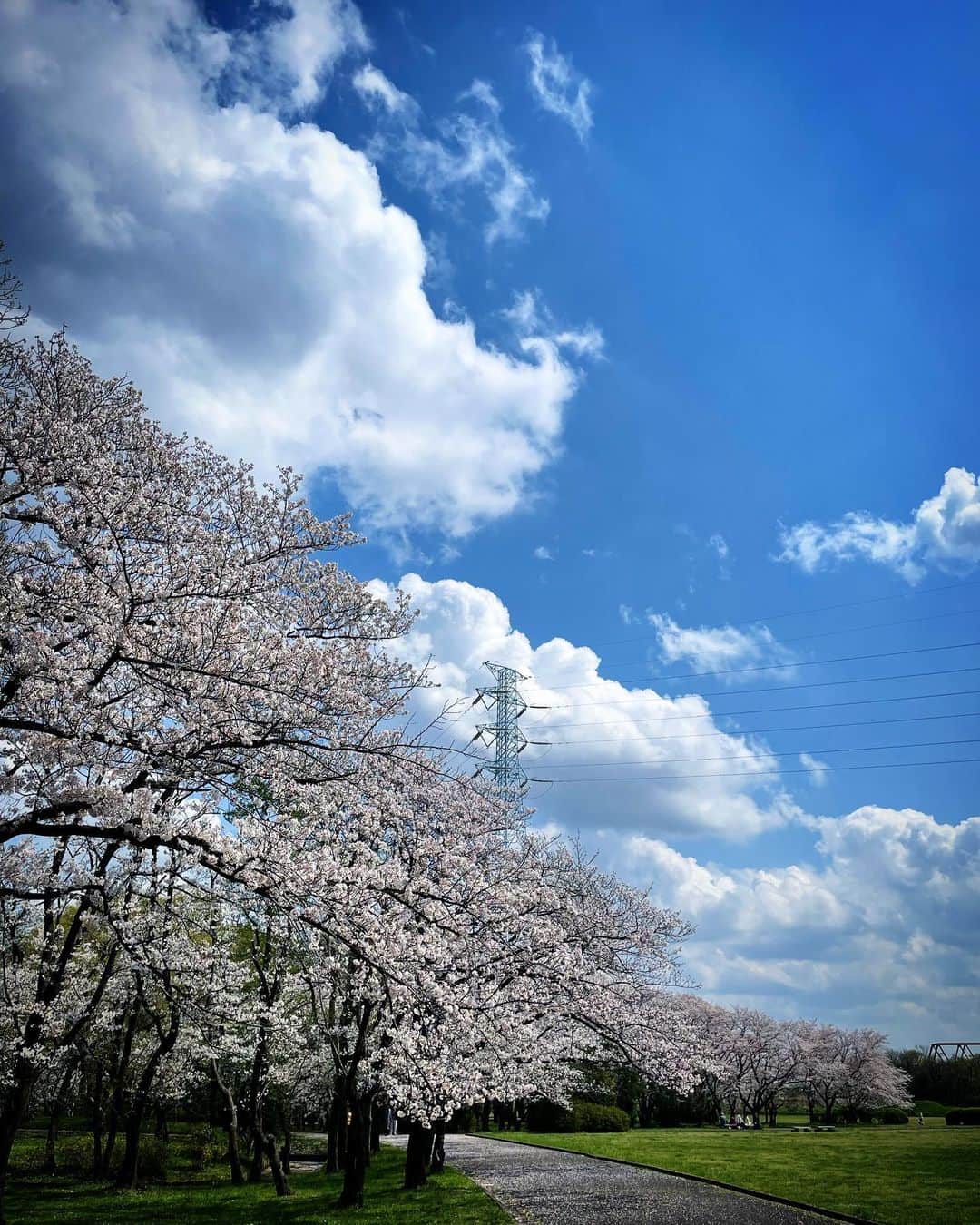 今野浩喜さんのインスタグラム写真 - (今野浩喜Instagram)3月30日 15時24分 - comnohiroki