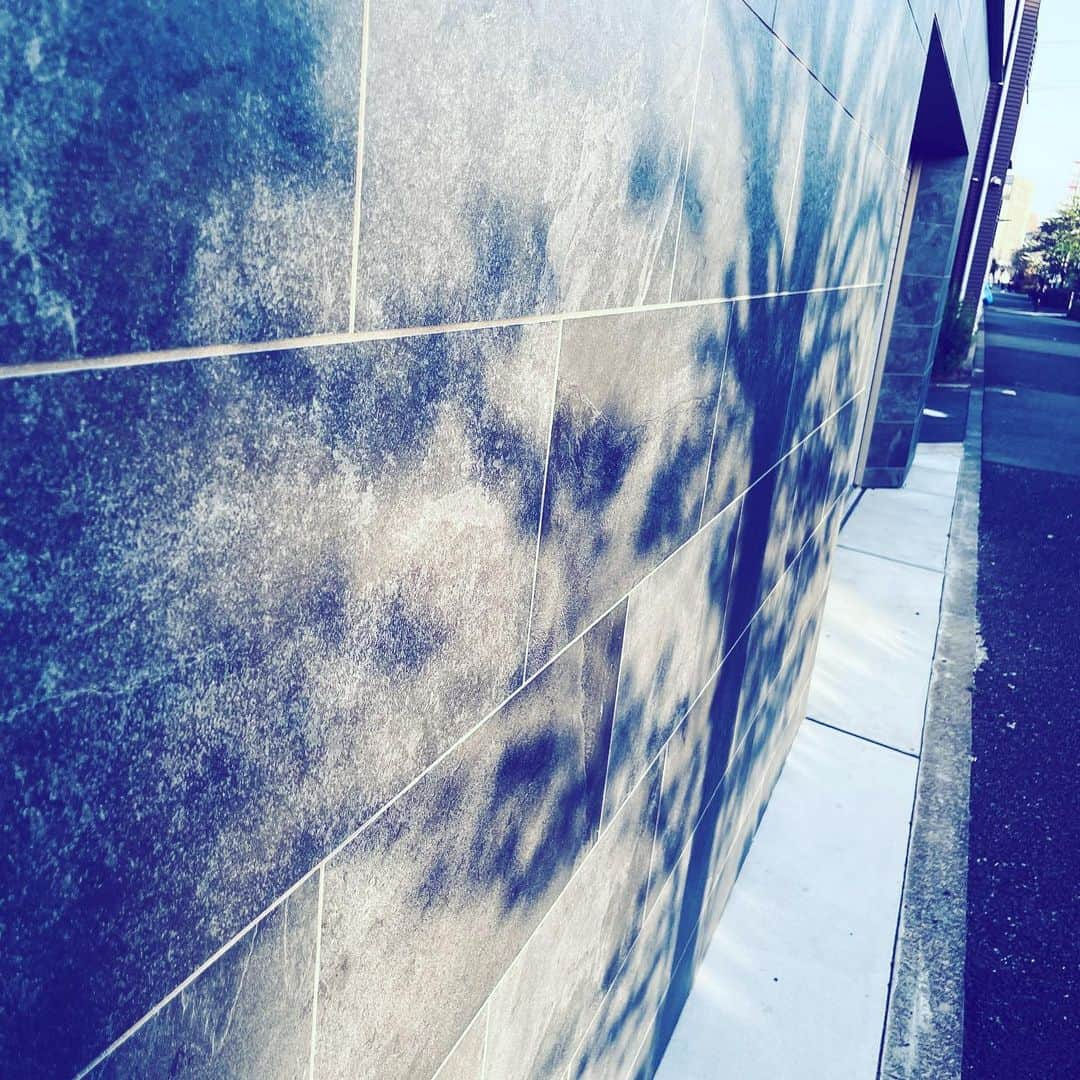 中野敬久さんのインスタグラム写真 - (中野敬久Instagram)「#shadow #art #tree #cityscape」4月14日 9時56分 - hirohisanakano