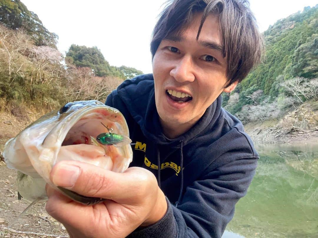 HASSYのインスタグラム