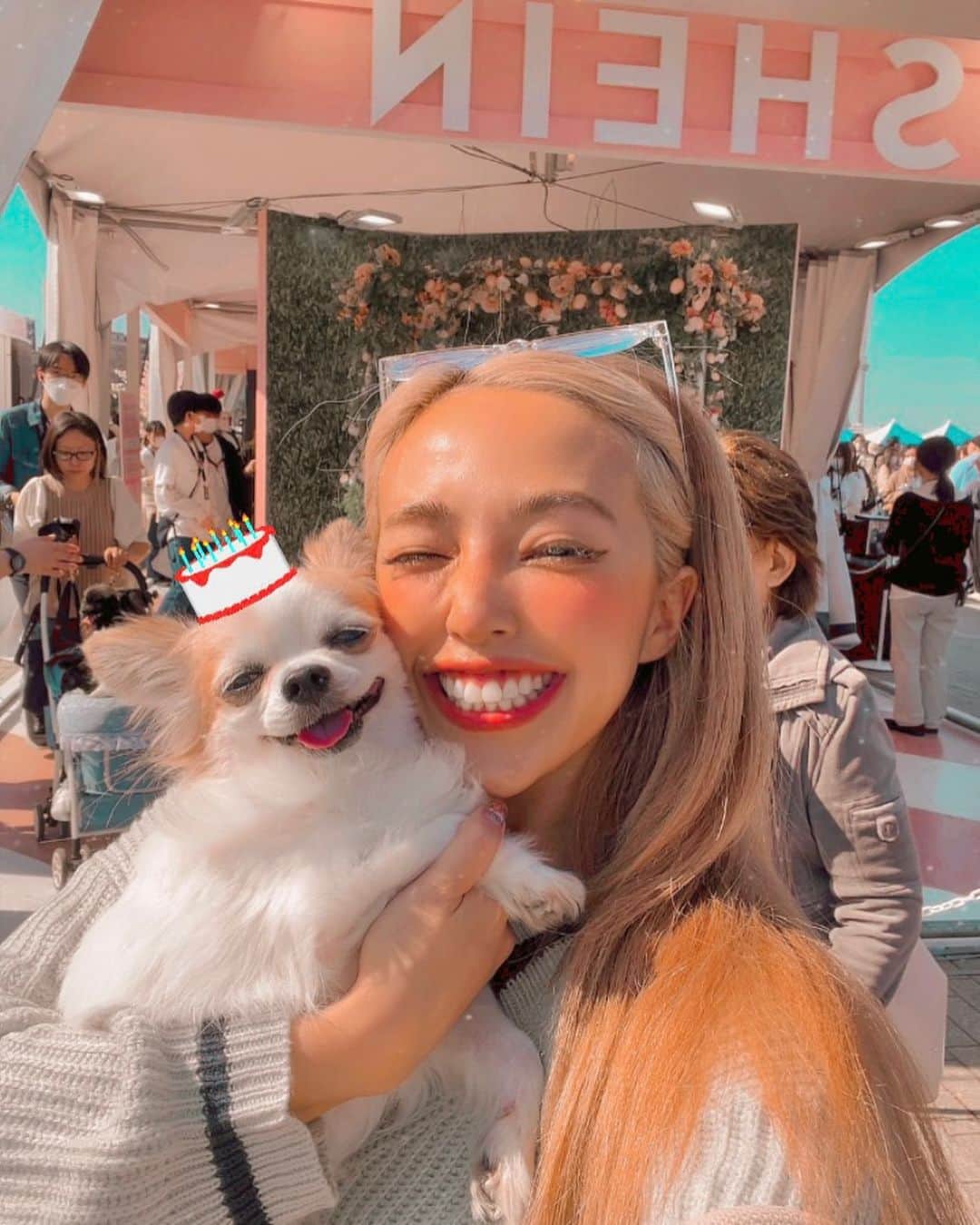 のインスタグラム：「Happy Happy Birthday my angel 🐶💗🧡💕13🎂🫶🏼  昨日、無事に手術を終えることができました🥹🐶🌸💕 コメントやメッセージくださっていた方々 本当にありがとうございます🐶😆✨ 当日２つの手術を予定していましたが、 術前になって一つのほうがまさかの回復 しているという奇跡が起こり、 一箇所の手術でよくなりました😭✨🌸 まさかのBig サプライズだったので、 (残るほうがちょっと大きな手術ではあったのだけれど、) それでもシニア犬にとってはとても大きく、 ミラクルで感謝しかありませんでした😭💕 パワーを届けてくれたまわりのみんなもほんとにありがとう😭🥹✨✨💗  術後面会に行ったときも 意識がぱっちりしっかりしててホッ..😆🫶🏼 ただ、やっぱり出来たての傷跡や、 剃り剃りされちゃったお毛々や、 取れた腫瘍や、 ブルブル震えてるのを見ると、本当に小さい体でよく頑張ったんだなぁと😭🐶🥹🧡🧡 心からありがとうが溢れた💗🐶😭💕 ナイスガッツだったよ🐶🥹❤️  神戸から駆けつけてくれた母も ありがとう💐🌸   生まれてからずーっと愛に溢れ🐶、 笑顔満開で、いい時も悪い時も幸せを届け続けてくれてる イーくんに、 そのぶんのたくさんの愛が向けられているのを心から実感した一週間🐶😭✨それもまた、胸が一杯でした🥰  入院はまだ少し続くけど昨日はひとまずほんとに ホッとして、晴れ渡った夜になった🐶✨💕🥰🥰💗💗💗 命に向き合った、すごい一週間だった😳😭🥹 (相方の出産と２日違いだったのもすごすぎるねって話してたし、お互い直前までパワー送りあって🥹💕イーくんのちょっと剃られすぎちゃったお尻の角刈り見せても、『お尻の角刈りもまた可愛いよ💕縫い目も私とお揃いだね🥰』って言ってくれてありがとう❣  @maicorori )  これからも、なにがあるかはわからないけど 一緒に乗り越えていこーね🐶💕  13歳おめでとBaby🌞🤣💗 まだまだ長生きして色んなとこいこーなー❣❣🌳 宇宙一の天使、愛してる💕❤️💗」