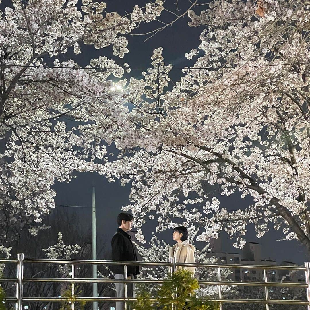 ペク・ジニのインスタグラム：「태경&연두🌸🌸🌸」