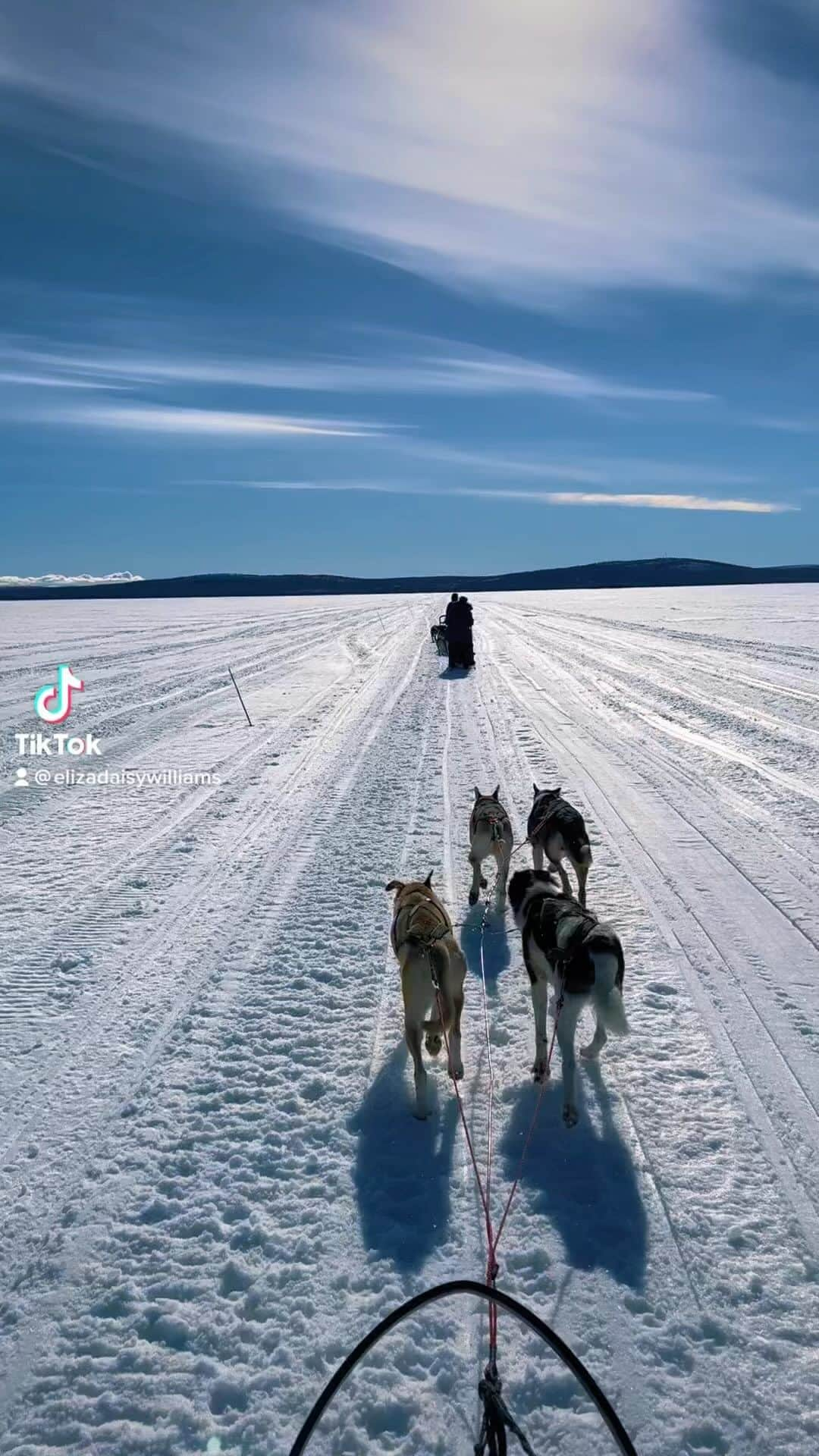 エリザ・カミングスのインスタグラム：「Outstanding Family trip to Lapland.. 🐺 @gregwilliamsphotography 💚  @ollysuziexpeditions」