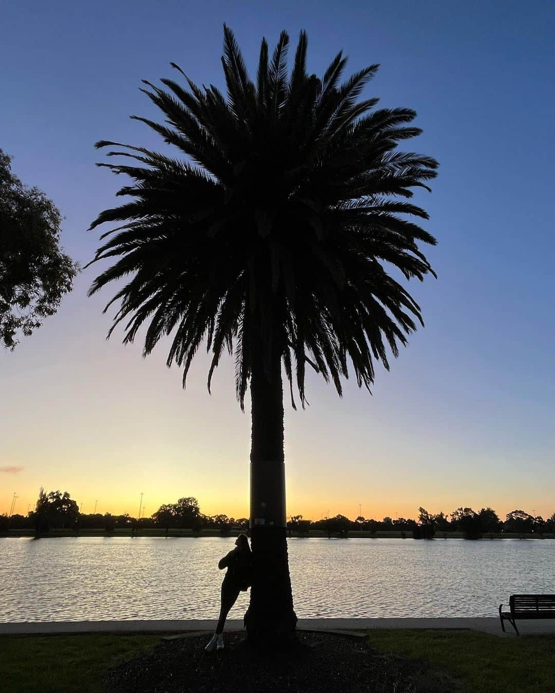 ズザンナ・ヤカボスさんのインスタグラム写真 - (ズザンナ・ヤカボスInstagram)「fa alatt 🌴 . . . #tb #oldbutgold #palmtree #sunsetphotography #sunsethunter」4月14日 3時20分 - zsuzsubell