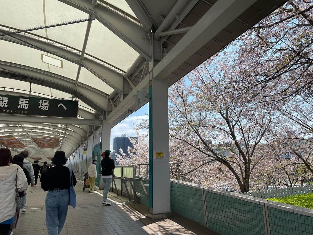 星野涼子さんのインスタグラム写真 - (星野涼子Instagram)「#阪神競馬場 #桜花賞  #ペリファーニア の応援で、  競馬場に行くのも久しぶり、 初めての阪神競馬場はとても大きく感じて東京ドームに来たのかと思った(ドームも1回しか行ったことないけども(笑)  一言でこの日のことをまとめると、 非日常的な、 この数年間のごほうびのような、 感謝でいっぱいの大切な1日になった🌸  阪神競馬場グルメは、 #屋台村阿わた #すじねぎ   お好み焼きからこんにゃくが出てきてびっくりしたけど(笑)、実においしい！  ⭐︎一度に全部書こうとするとなかなか更新できないので😅、 いつも通りの時差投稿で少しじつ書き留めておきたいなと思います。  #桜　#jra #競馬　#競馬場　#非日常　#ご褒美　#感謝　#宝物　#お好み焼き　#cherryblossom #horseracing #kansai #okonomiyaki #벚꽃 #경마 #오코노미야끼」4月14日 6時15分 - ryoko.hoshino