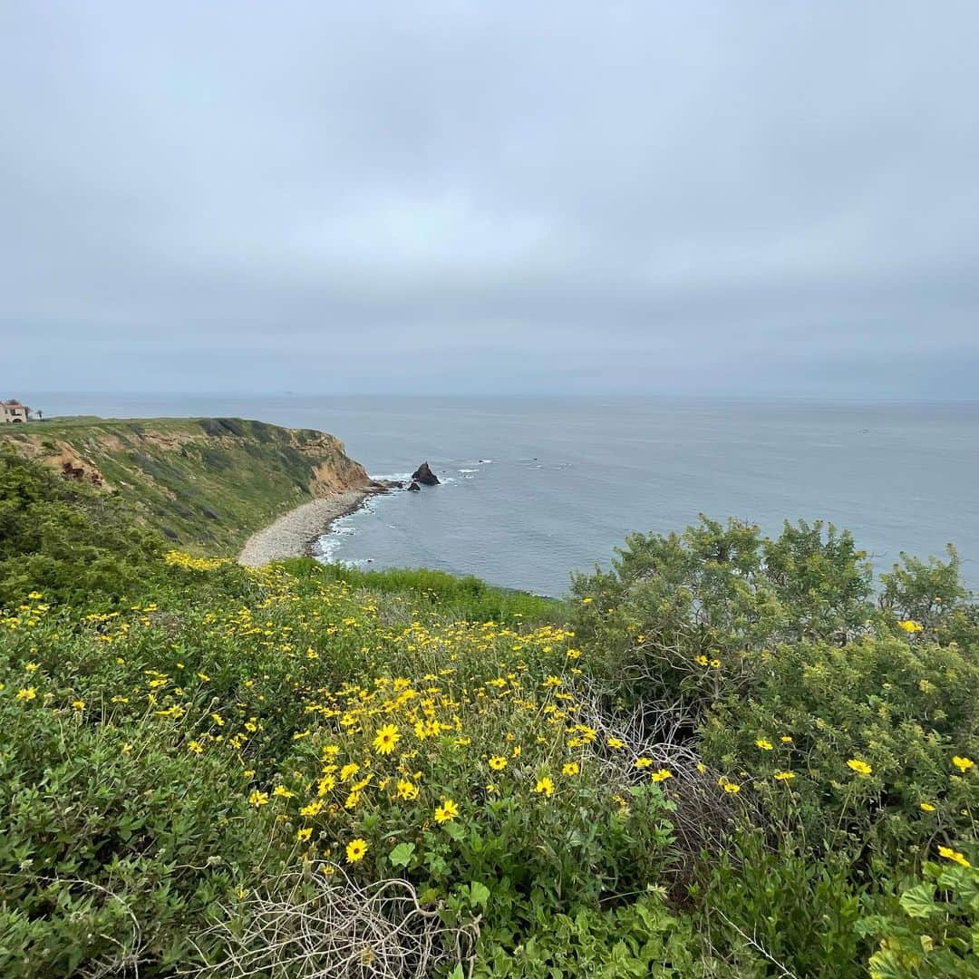 コンスタンス・マリーさんのインスタグラム写真 - (コンスタンス・マリーInstagram)「Spring Break Photo Dump! Sooooo beautiful. Little cloudy but I love the wild flowers! Thank you  @terranearesort 💕 For always treating us so well! And where would be be without @mariolopez telling us ALL about the movies in EVERY HOTEL imaginable! Bless his hardworking soul! ✨💪🏽😘✨ #TerraneaResort #Beach #Sun #Fun #Hike #Pool #Sunblock #SpringBreak」4月14日 6時29分 - goconstance