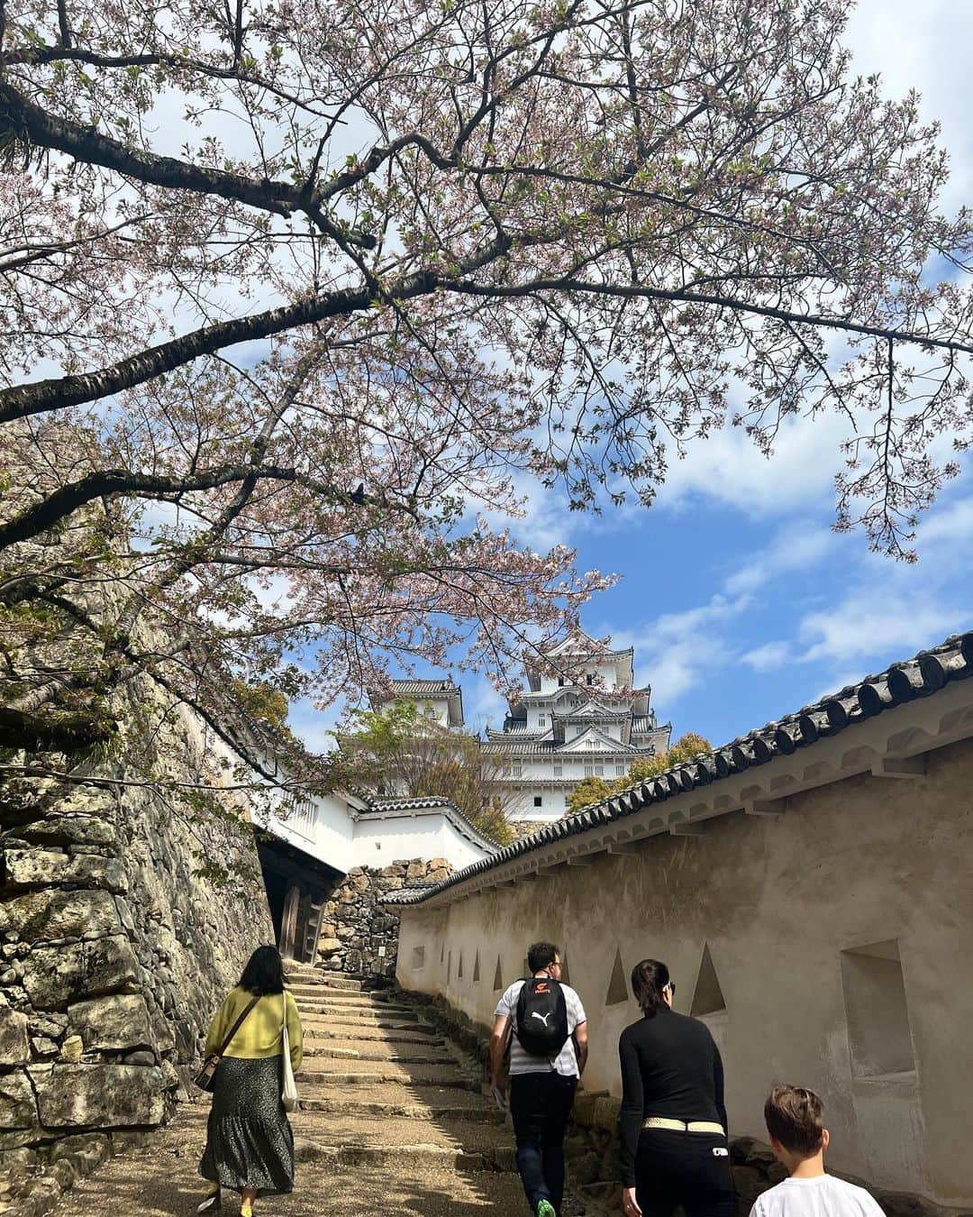 寺内千穂さんのインスタグラム写真 - (寺内千穂Instagram)「⁡ 桜がまだうっすら咲いていた🌸 お天気にも恵まれ、とっても美しい姫路城でした🤍 ⁡ #姫路 #姫路城 #himeji #himejicastle #兵庫県 #🌸」4月14日 6時31分 - chiho_terauchi