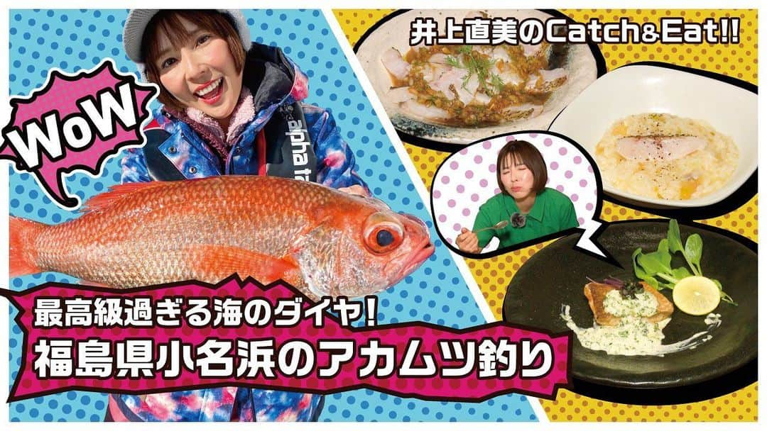 井上直美さんのインスタグラム写真 - (井上直美Instagram)「アルファタックルYouTube「井上直美のCatch&Eat!～最高級過ぎる海のダイヤ！福島県小名浜のアカムツ釣り～」 がアップされました(^ ^) DEEP ODYSSEYアカムツを使用して小名浜アカムツ狙って食す♪♪♪ アカムツ釣りははあまりやった事が無かったけど、釣りも面白いしハマってしまいそう。 アカムツ料理はハニーこと佐藤花音たんのお店「築地 ダイニングバーnude」で♡アカムツを洋食スタイルにして出して頂きました。美味し過ぎて飛び跳ねます♡♡♡  ぜひご覧ください！ youtu.be/O2sLrN8kE88  　#アルファタックル　#アカムツ　#アカムツ釣り　#小名浜　#福島県　#築地nude  #キャッチ＆イート　#佐藤花音 ちゃん」4月14日 8時51分 - naochingyo