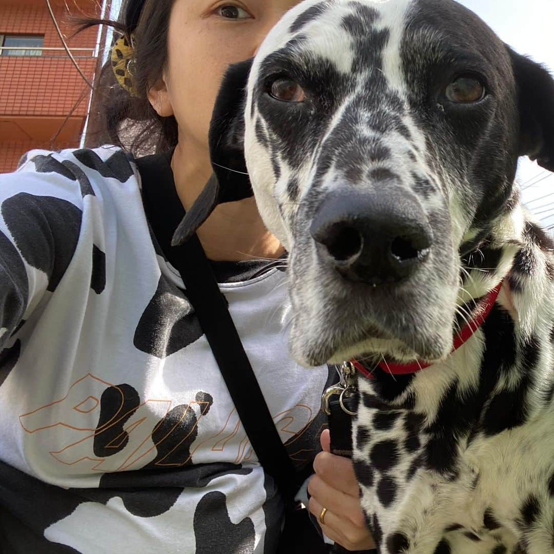 YOPPYのインスタグラム：「. 朝から背後から盗撮されてて むかつくと思ったけど 自分の格好を見て 自分がリンクコーデしてる事に気が付き また反省の日々」