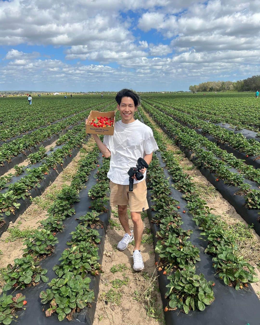 はるきさんのインスタグラム写真 - (はるきInstagram)「久々に畑に行ってき、イチゴ狩りとひまわりに力を貰って来ました！やっぱり大地の力は凄いし、自分で収穫するイチゴは美味しかったし安かった😍  YouTubeで動画上がります！！」4月14日 9時13分 - hr.8ruki