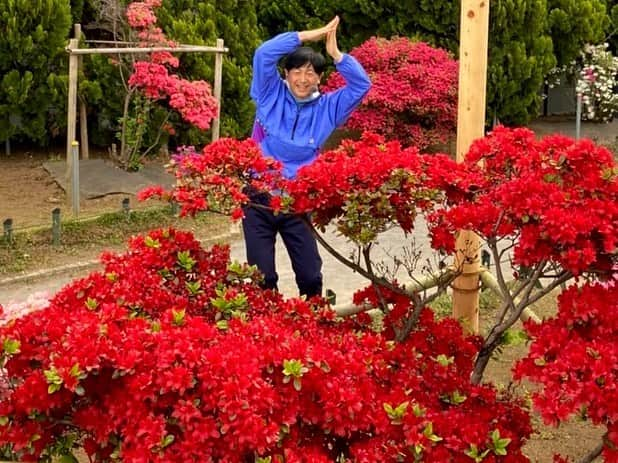 依田司さんのインスタグラム写真 - (依田司Instagram)「4月14日（金） 東京都練馬区の「平成つつじ公園」から見頃を迎えたつつじをご紹介。 およそ600品種１万株ものツツジが植えられており、都内最大級ともいわれるほどのツツジ公園です。 駅から徒歩一分、無料で見られる場所にもかかわらず、一つの木に白・ピンク・混合の３種類の花をつけるものや樹齢50年を超える立派なものなど、バリエーション豊かで貴重なツツジも見られます。 また、園内のハナミズキも見頃となっており、涼やかなハナミズキと鮮やかに色づいたツツジの共演も見事です。  #平成つつじ公園 #CHUMS #チャムス #依田さん #依田司 #お天気検定 #テレビ朝日 #グッドモーニング #気象予報士 #お天気キャスター #森林インストラクター #グリーンセイバーアドバンス #プロジェクトワイルド #IPCC伝導者 #japan #japantrip #japantravel #unknownjapan #japanAdvenそture #japanlife #lifeinjapan #instagramjapan #instajapan #療癒 #ilovejapan #weather #weathercaster #weatherforecast」4月14日 9時37分 - tsukasa_yoda