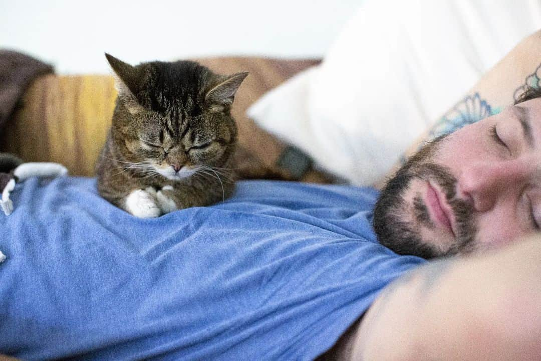 Lil BUBのインスタグラム：「I learned a lot from BUB. One thing I learned is that sometimes you just gotta take a break. Now I just need to practice what I've learned...  #thanksbub #missyoubub #wishyouwerestillhere #goodjobbub #lilbub #bilbobubbins」