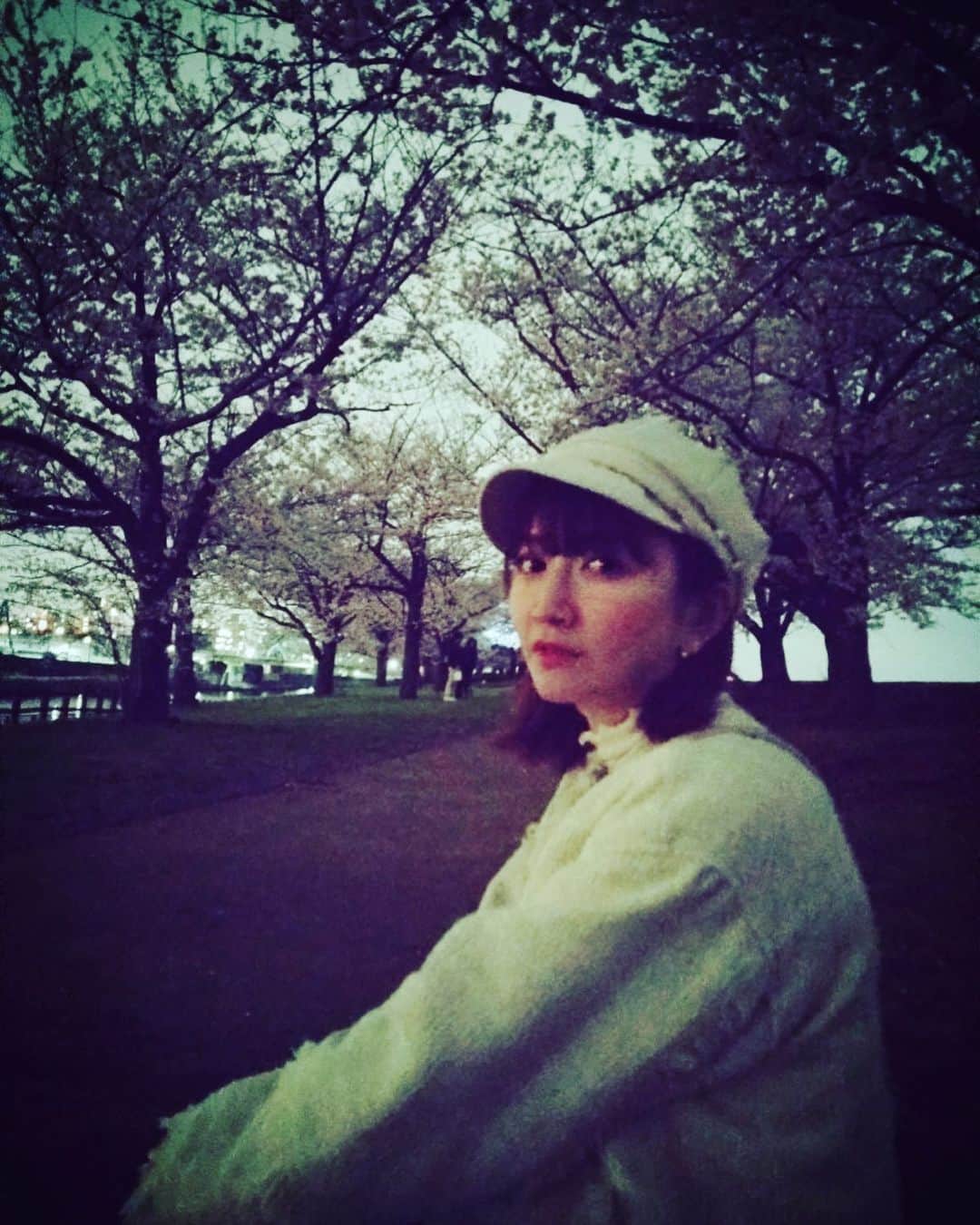 清水楓のインスタグラム：「全くライトアップされていない桜を見てきました 暗闇、、、、、です  #夜桜 #sakura」