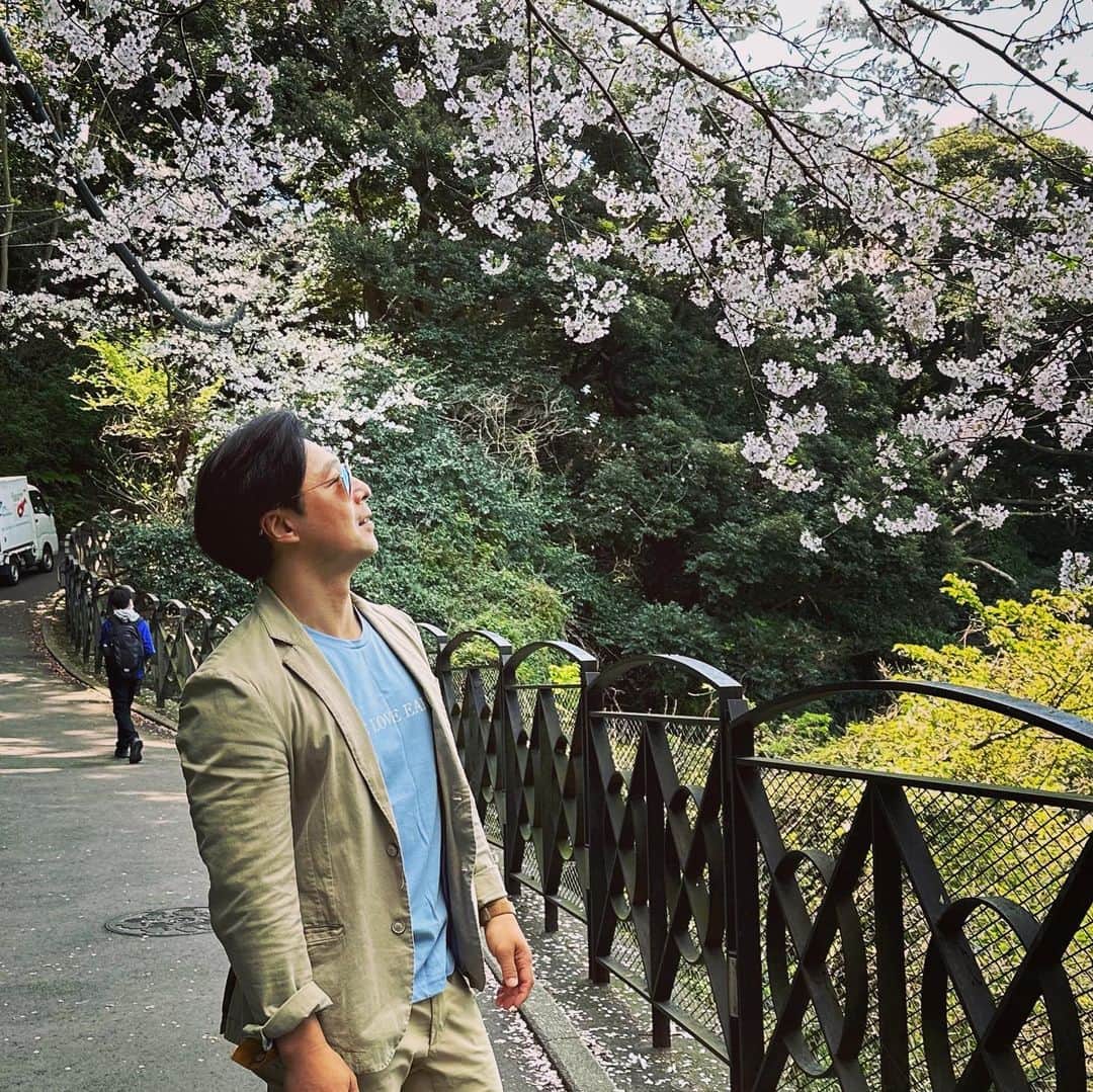 yoshiさんのインスタグラム写真 - (yoshiInstagram)「江ノ島に桜見に行ってしてきました。 やっぱり桜🌸は綺麗ですね。  江ノ島は10年ぶりくらいかな。 けっこう変わってましたが楽しかった☺️  ps 名物しらす丼が美味しかった👍 高タンパク低脂肪な完璧なダイエット食😉  #しらす丼  #江ノ島 #お花見 #￼ボディーコーディネーターyoshi #メンズダイエット #ナチュラルトレーニー #ナチュラルビルダー #ドラッグフリートレーニー #アンチドーピング #フィジーク #フィジーカー #ボディビル #ボディビルダー #腹筋　#腹筋トレ　#腹筋トレーニング #胸トレ #胸トレメニュー #筋トレダイエット #筋トレ #大胸筋  #chest #chestworkout #muscle #workout #workoutmotivation #fittness #drugfree #drugfreetrainer」3月30日 17時34分 - mens_diet