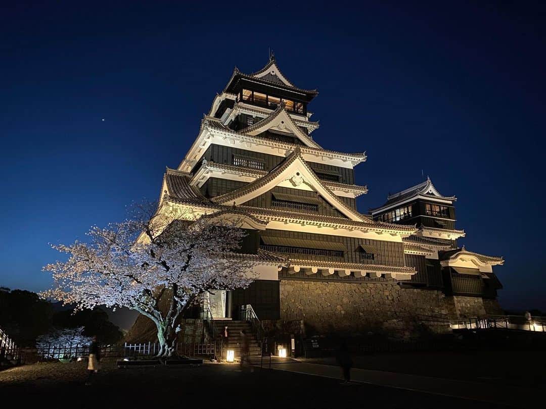 熊本城さんのインスタグラム写真 - (熊本城Instagram)「2022年度最後は天守閣と桜（夜）です。  来週から新年度。 期待と不安、人それぞれ様々な思いを抱えてらっしゃると思います。 もう無理ってなったら、熊本城をみてください。（遠くの方はSNSの写真や動画で）。 もしかしたら元気になるかもしれません。 ならなかったらゆっくり休んでください、無理にでも。  熊本城と一緒に頑張りましょう。 一人じゃないですからね。  #kumamoto #japan #japantrip #instagood #instagram #kumamotocastle #日本 #熊本 #熊本城 #加藤清正 #日本100名城 #熊本観光 #夜桜 #今年度 #最後 #新年度 #一緒に頑張りましょう #桜 #sakura #cherryblossom #blossom #flower #見ごろ #満開 #お早めに」3月30日 17時35分 - kumamoto_castle