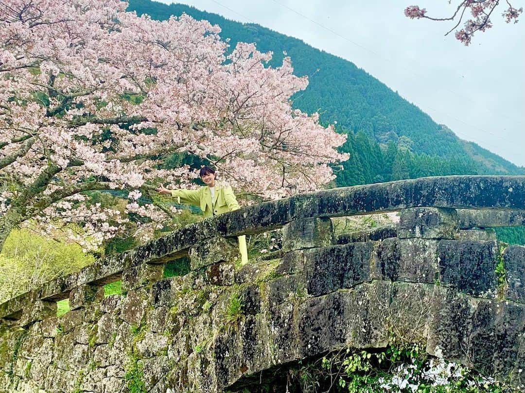 常盤よしこさんのインスタグラム写真 - (常盤よしこInstagram)「桜と趣のある石橋🌸 美里町の大窪橋から中継でした！ 今週いっぱいは楽しめそうです❤️ 緑コート着たら馴染んじゃったな。。 どこにいるかわからない。笑  #石橋の里美里町#美里町の石橋#桜スポット#ソメイヨシノ#美里町の桜#てれビタ#熊本県民テレビ」3月30日 17時46分 - yoshiko.tokiwa