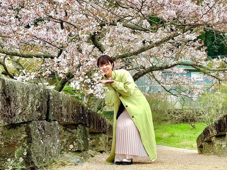 常盤よしこさんのインスタグラム写真 - (常盤よしこInstagram)「桜と趣のある石橋🌸 美里町の大窪橋から中継でした！ 今週いっぱいは楽しめそうです❤️ 緑コート着たら馴染んじゃったな。。 どこにいるかわからない。笑  #石橋の里美里町#美里町の石橋#桜スポット#ソメイヨシノ#美里町の桜#てれビタ#熊本県民テレビ」3月30日 17時46分 - yoshiko.tokiwa