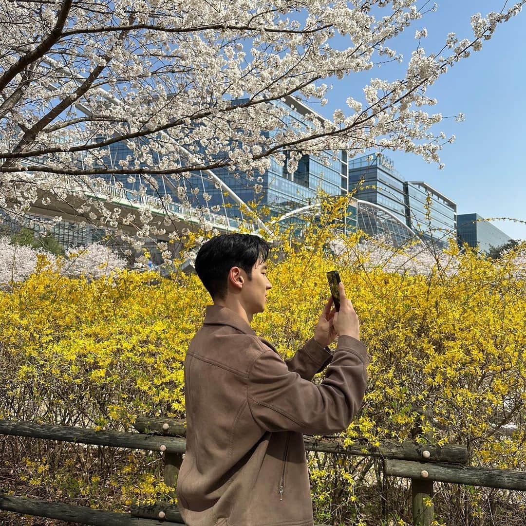 イ・ジェフンさんのインスタグラム写真 - (イ・ジェフンInstagram)「⠀ 꽃들이 너무 예쁘네요🌸🌼🥰 판교에 계신 여러분들 부럽습니다 :) 그리고 환영해 주셔서 감사해요🫣」3月30日 17時48分 - leejehoon_official