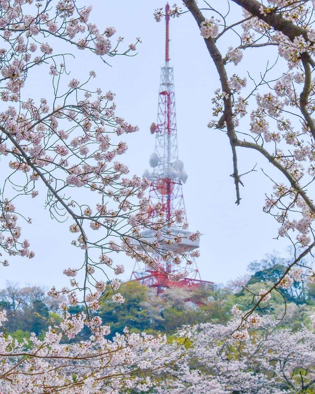 平塚市のインスタグラム