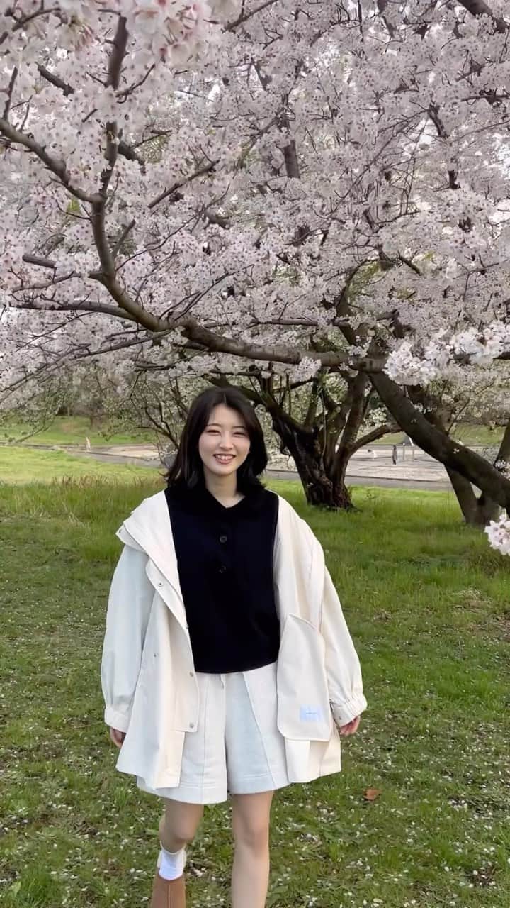 吉永アユリのインスタグラム：「🌸  #お花見 #散歩 #桜 #笑ってはいけない」