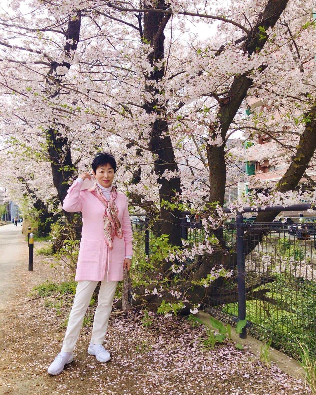 小川知子さんのインスタグラム写真 - (小川知子Instagram)「やっとゆっくり桜を🌸見た。 大分散っていますが、今日は晴天なのでとても綺麗！ 桜色🌸ジャケットにしてお花の中に溶け込みました。  友人と好物の串揚げへ。 「よく召し上がりますね」と言われてしまった。 １５本に茶そばは多いか💦 反省、、、🤣🤣  #お花見🌸 #串揚げ #小川知子」3月30日 18時04分 - tomoko_ogawa_