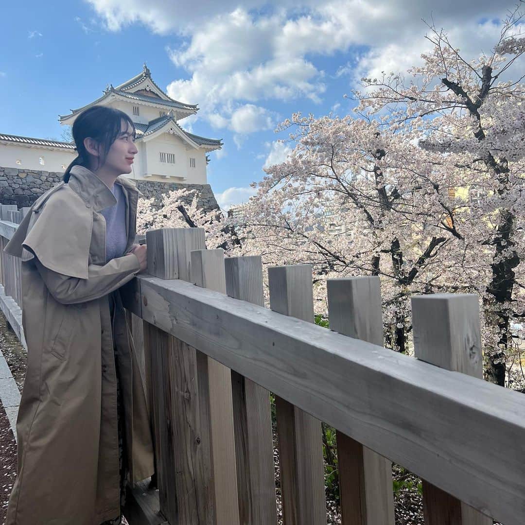 大須賀あみのインスタグラム：「ばえてるわ〜〜〜！！！  今日はちょっと良いことがありました🌸  あと、ちょこっとウォーキングしたんだけど、通ってた高校の横を通ってエモかったです！  みんなは今日はどうでした？🫶🏻  #舞鶴城 #甲府城 #甲府の桜」