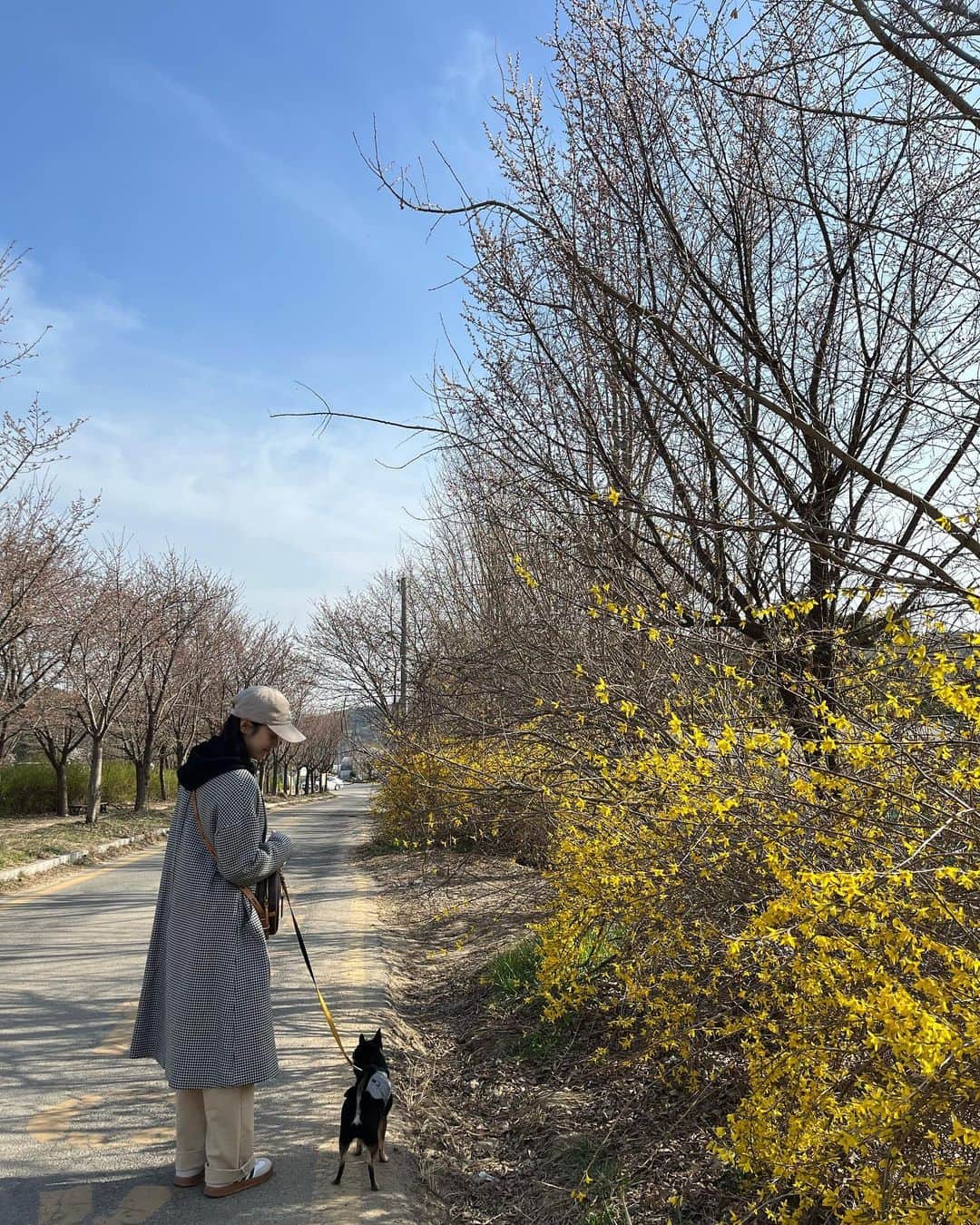 シン・ゴウンさんのインスタグラム写真 - (シン・ゴウンInstagram)「오늘은 땅콩이랑 커플룩   🐕👕💕」3月30日 18時12分 - shinggoni