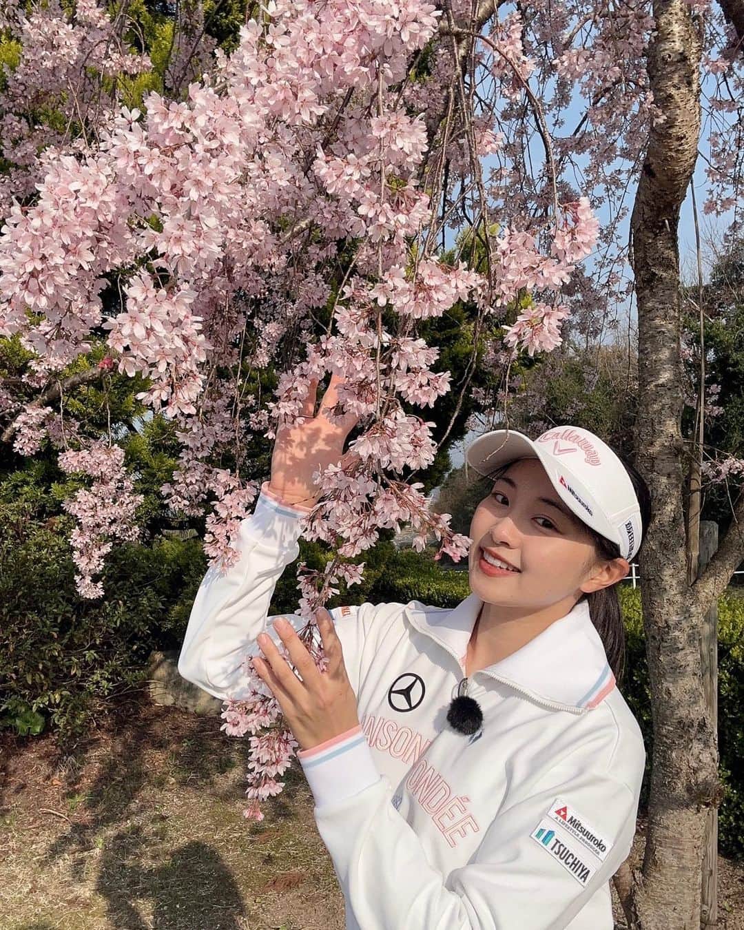 三浦桃香のインスタグラム：「鳥取🕊にいます。  桜がとっても綺麗🌸  #三浦桃香にチャレンジゴルフ」