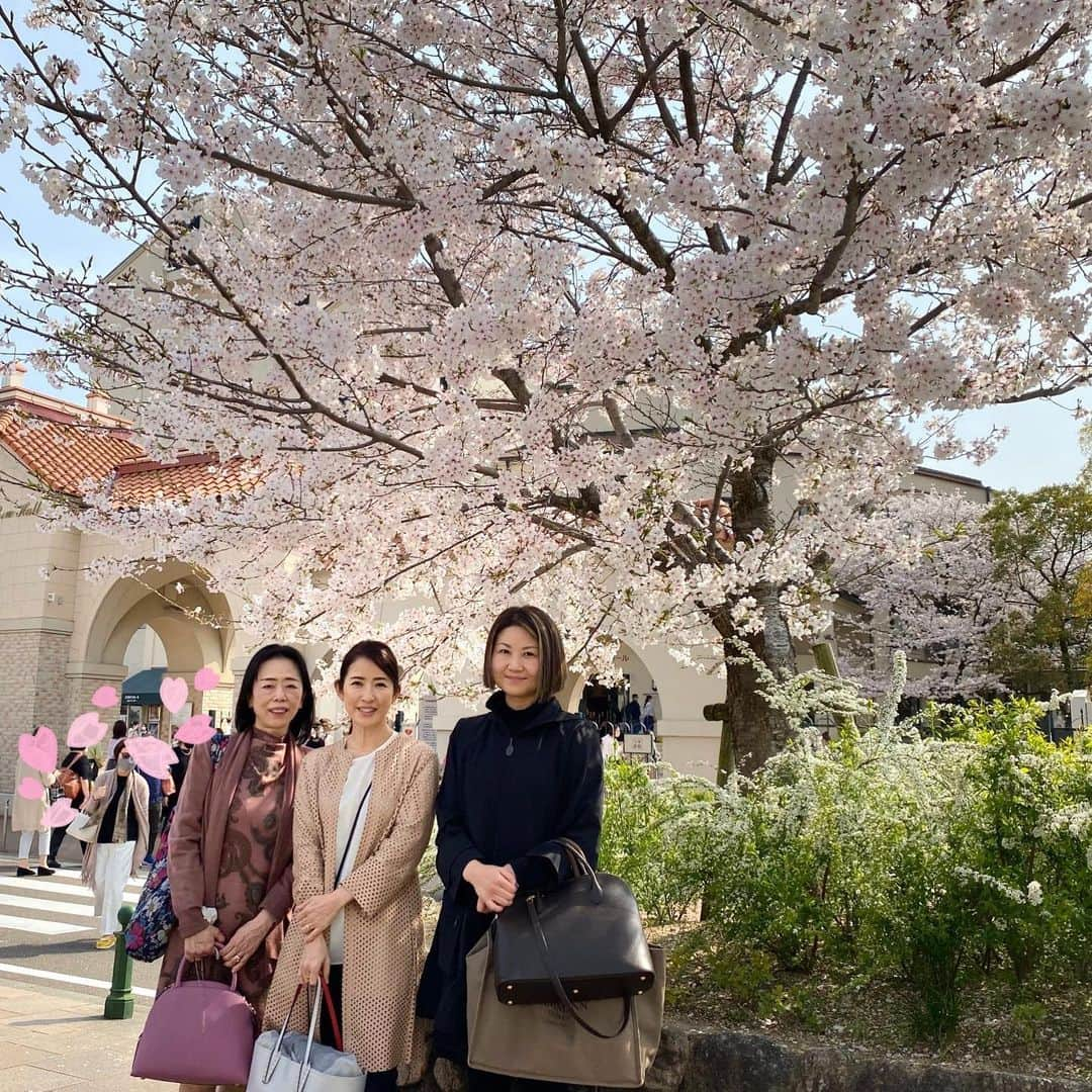 江口ともみさんのインスタグラム写真 - (江口ともみInstagram)「うさきだよ💕 日帰りヅカツアー同行してきた✨  宝塚はお天気良くてあったかくて、桜やチューリップとか春満開って感じだったよぉ🌸🌷🌸  かあさんの先輩や先輩のお友達と観劇してね、美味しいお昼ご飯を個室予約して下さって食べたよ✨ 個室あるなんて初めて知った✨  あのね、あたし一瞬床に落ちたのを先輩が見つけてくれてね💦 危うく宝塚大劇場に住み込むとこだったよ😅あたし小さいんだから気をつけて欲しいよね💢  今日もボンドさんカッコ良かった💕 またかあさん会いに行くからね😆💜  #fumofumosan #フモフモさん #うさき#宝塚大劇場 #宝塚宙組公演 #彩妃花ちゃん #娘役さんでは応援 #カジノロワイヤル #カジノロワイヤル我が名はボンド  #宝塚大劇場の春を楽しもう #フォトコンテスト #あたち選ばれたらいいな💕 #母校の先輩」3月30日 18時32分 - tomomin.eguchi