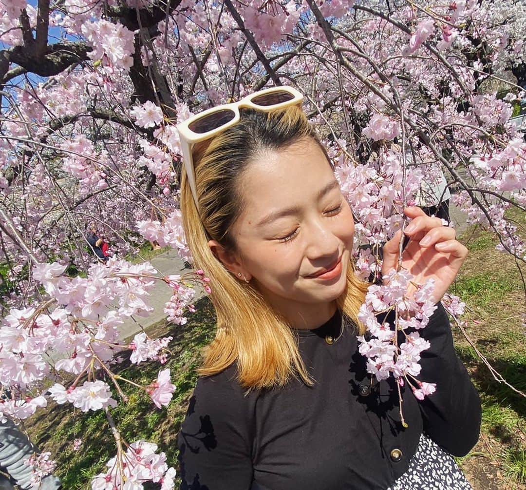 武部柚那さんのインスタグラム写真 - (武部柚那Instagram)「🌸🌸🌸🌸 みれてよかった🥰 やっぱり美しいな。」3月30日 18時42分 - yuzuna839__