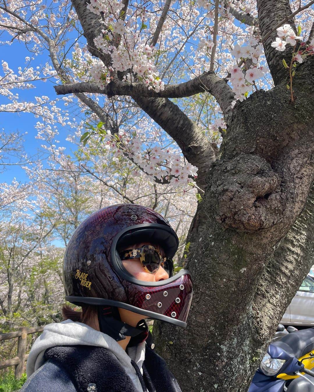 指出瑞貴さんのインスタグラム写真 - (指出瑞貴Instagram)「🌸🌸🌸 #always  beautiful, four seasons in japan.  ゆっくりゆっくり過ごせた日 通りすがりでたくさん桜は見ていたけど、レジャーシートひいて桜の下でお弁当食べて、ウグイスの声を聞きながら癒されました♡」3月30日 18時36分 - sashidemizuki
