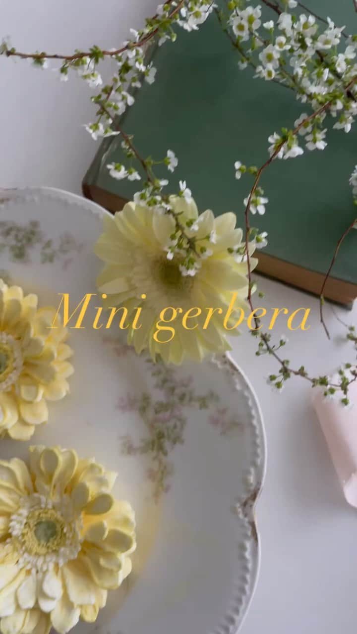 청담 수케이크 (atelier soo)のインスタグラム：「💛💛💛💛💛💛💛🕊」