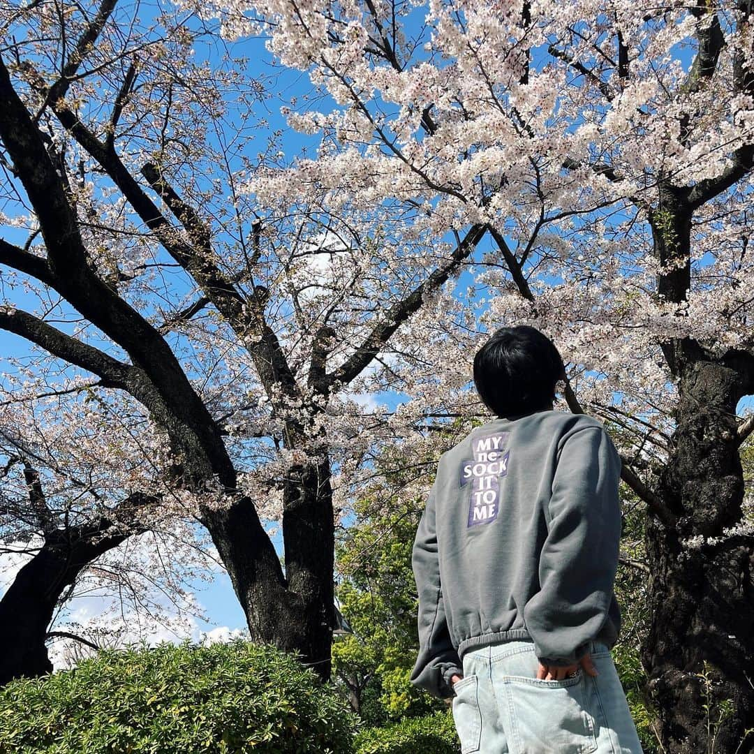 佐藤綾人さんのインスタグラム写真 - (佐藤綾人Instagram)「🌸🌸🌸」3月30日 18時47分 - ayt.0601