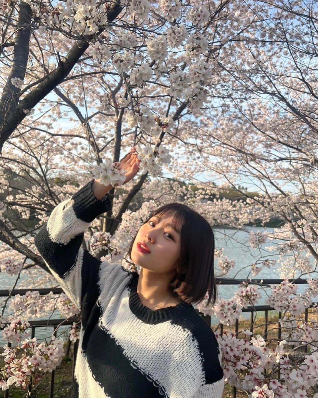 上ノ堀結愛さんのインスタグラム写真 - (上ノ堀結愛Instagram)「• 桜投稿おおめ🌸💭 ちなみにノーマルです。。。  まって、、、3月も残り1日じゃん！！  #桜スポット  #映え写真」3月30日 18時59分 - yua.0201