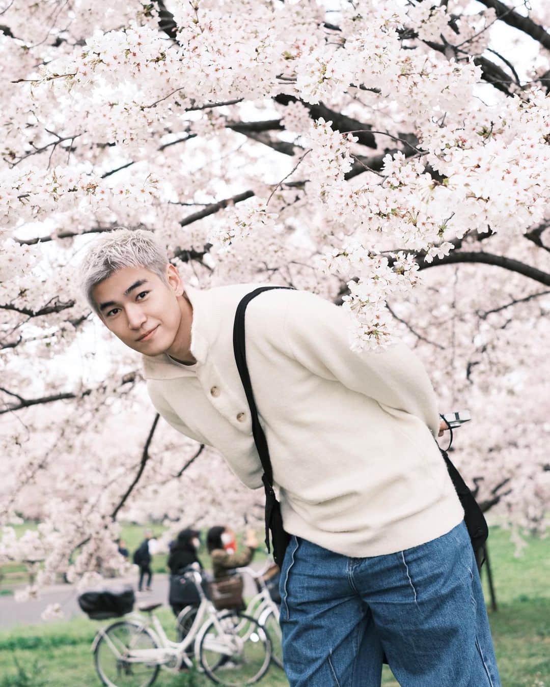 樋口葉生さんのインスタグラム写真 - (樋口葉生Instagram)「🌸I’ll see you under full-bloomed cherry blossoms」3月30日 18時58分 - haohiguchi