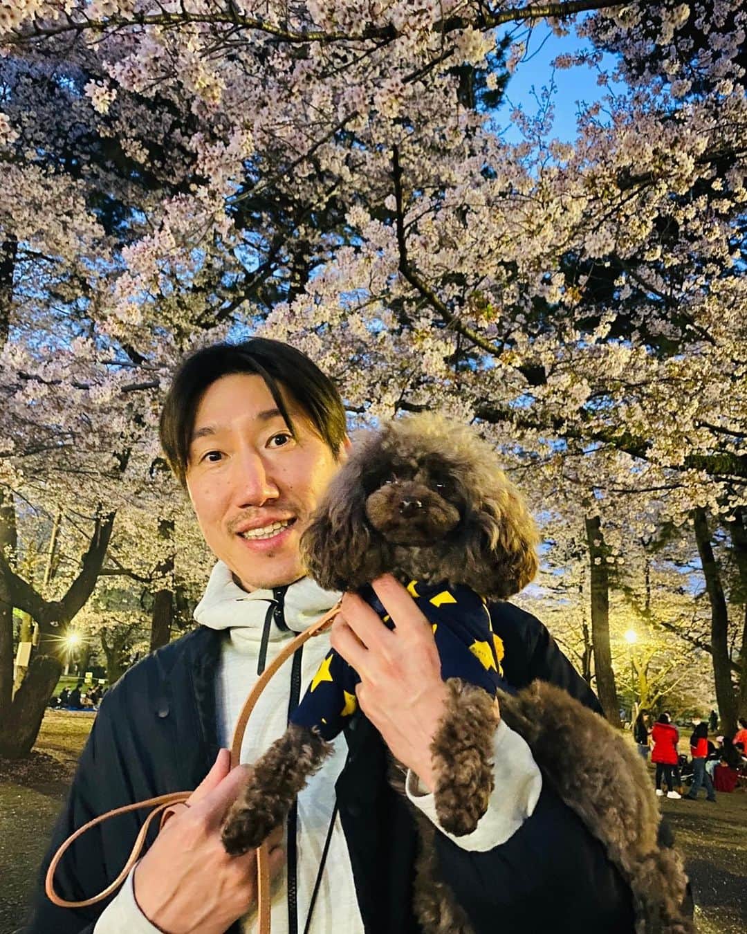網野友雄のインスタグラム：「🌸💫 #夜桜 #サニー」
