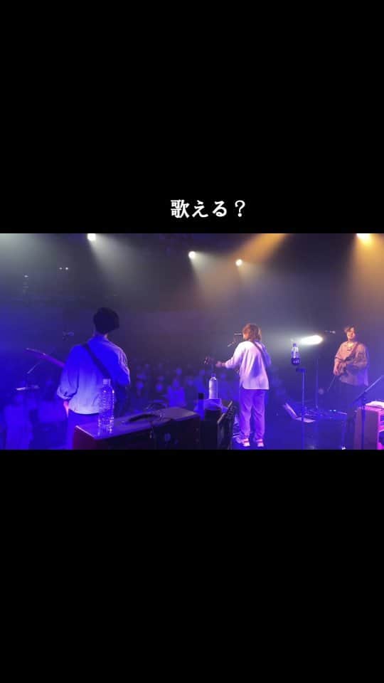 the shes goneのインスタグラム：「これを待ってた #ラベンダー #theshesgone #シズゴ」