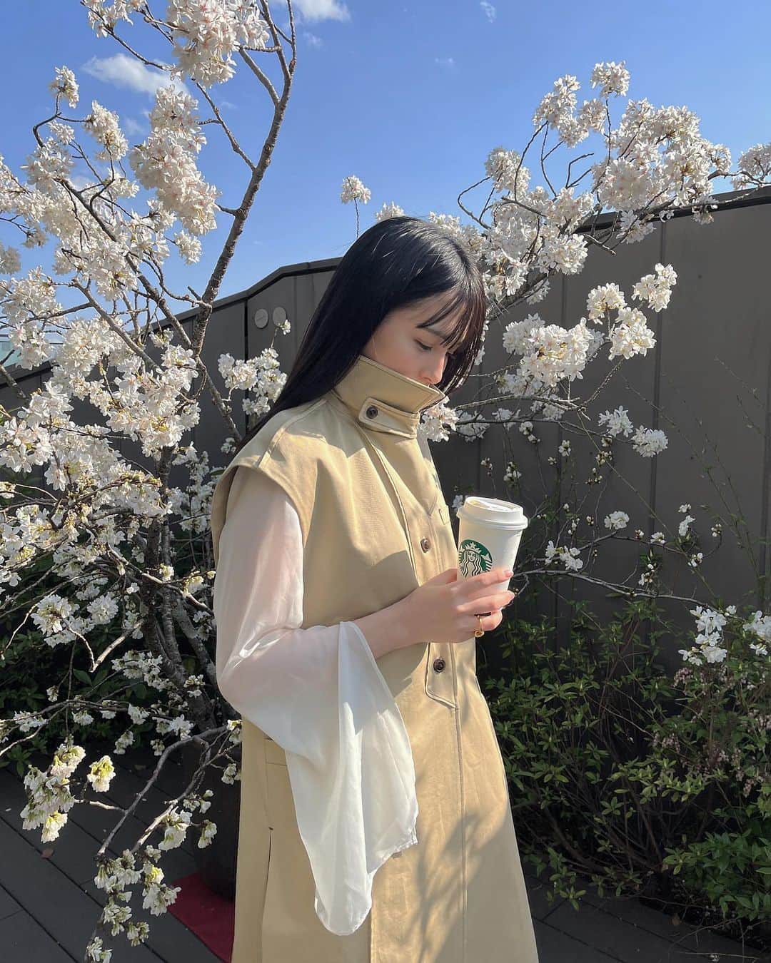 大園桃子さんのインスタグラム写真 - (大園桃子Instagram)「⁡ ⁡ 夏を感じたり、雨に打たれたりの日々。 私は、暑くなってくるとイングリッシュから ブラックティーになります。🌸🍃」3月30日 19時20分 - o.momoko_official