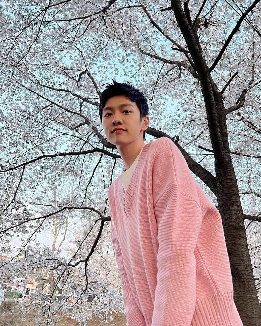 シン・ウォンホ（CROSS GENE）のインスタグラム：「#꽃놀이#벚꽃#신원호#SHINWONHO#🌸」