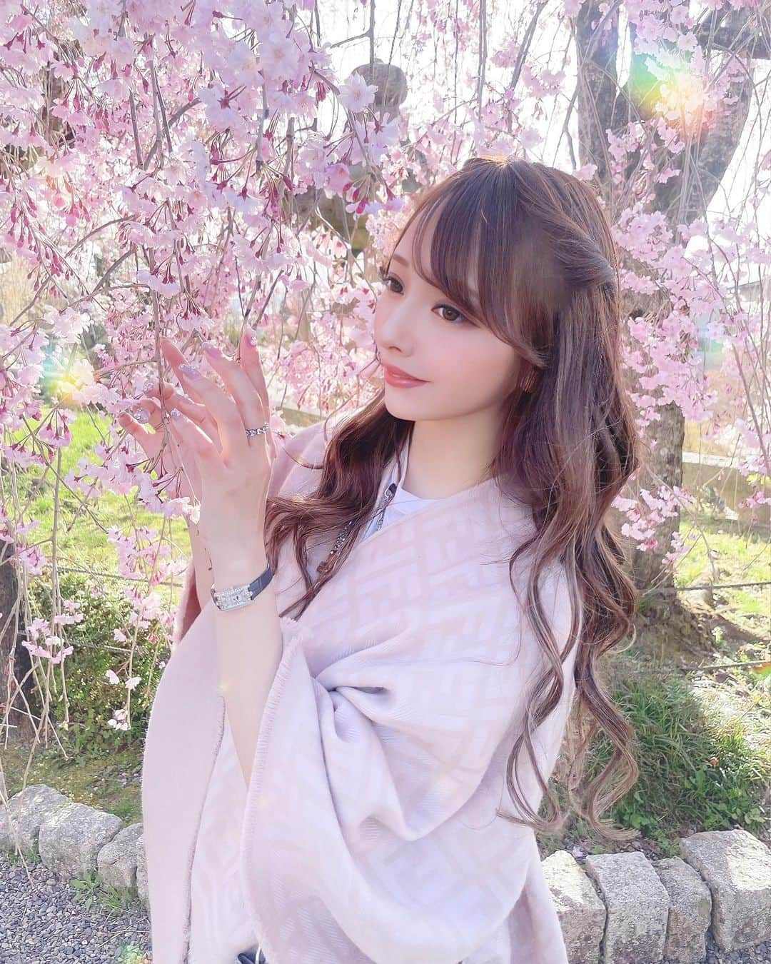 藤咲くるみのインスタグラム：「24歳最後の日…🥹🌸 ・ ・ #桜 #桜スポット #京都 #京都観光 #sakura #japan #kyoto #instagood #instalike #instadaily  ・ ・」