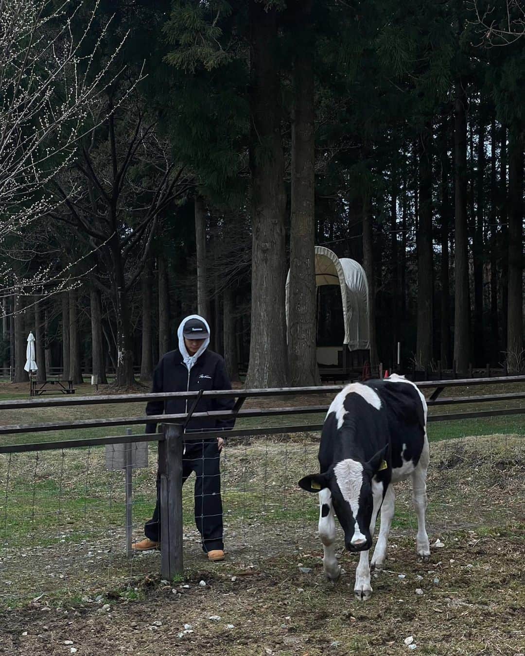 のインスタグラム：「Tochigi thank you🐮」