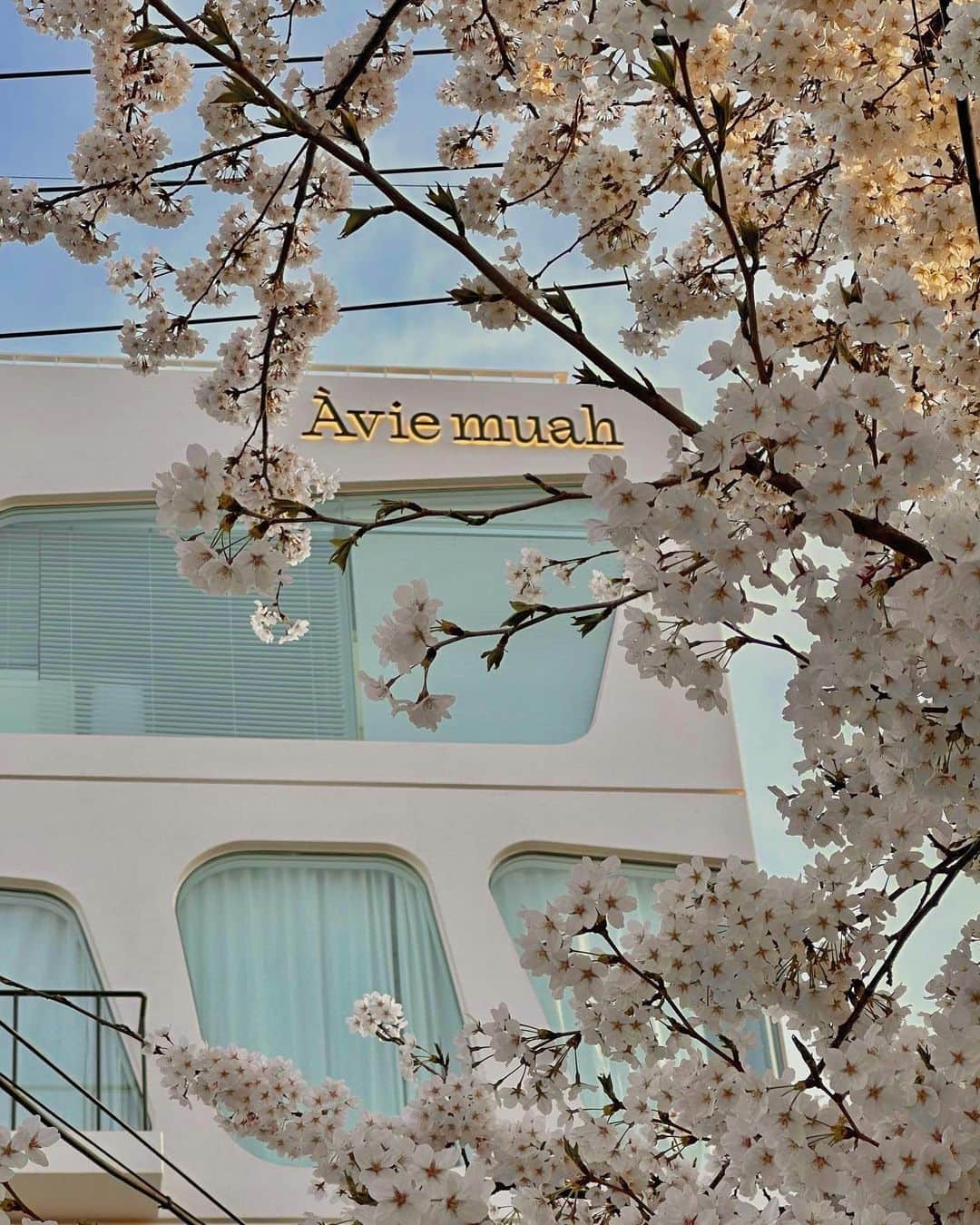 カン・ミンギョン のインスタグラム：「오늘 🌸 ... 🥹 꽃세권」
